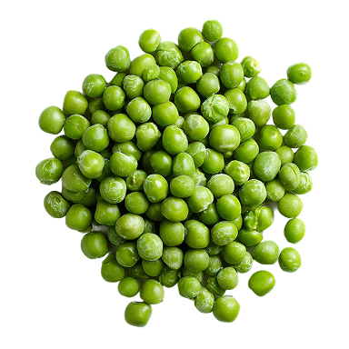 Ärtprotein