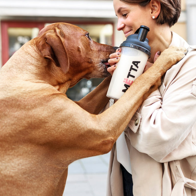a 40 year old woman going for a walk with her dog while drinking MËTTA food shake. 