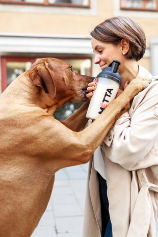 Stort Svenskt Community